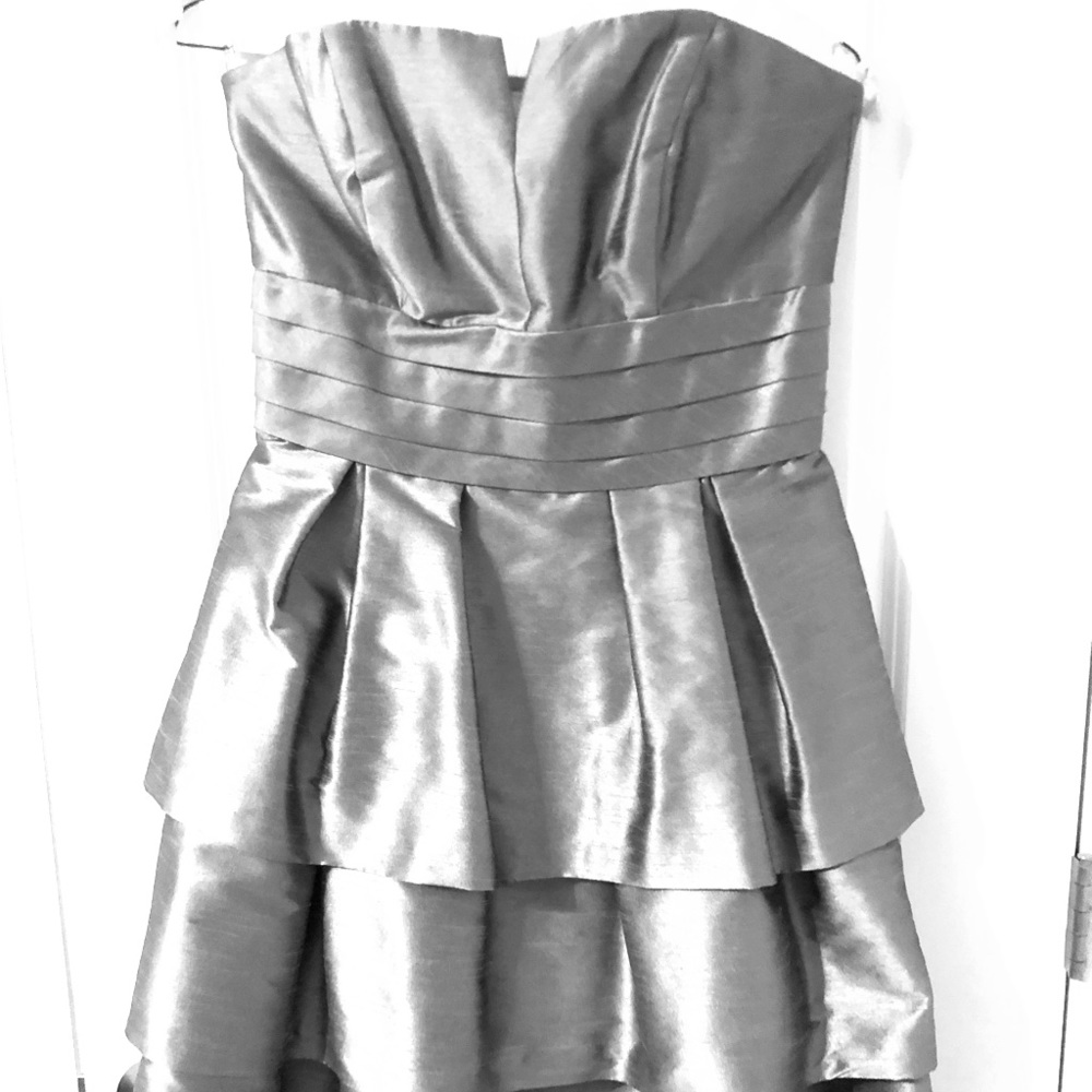 Alfred Sung Silver Dress